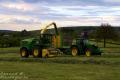 Ensilage d'herbe (Evrard)