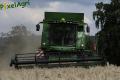 Moisson (Evrard)