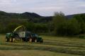 Ensilage d'herbe (Evrard)