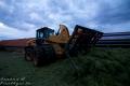 Ensilage d'herbe (Evrard)