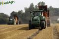 Epandage de compost (Etienne)