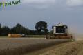 Moisson 2014 (Ruwet)