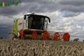 Moisson 2014 (Ruwet)