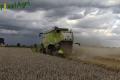 Moisson 2014 (Ruwet)