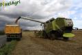 Moisson 2014 (Ruwet)