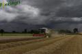 Moisson 2014 (Ruwet)