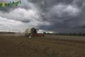 Moisson 2014 (Ruwet)