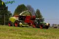 Ensilage d'herbe (Ruwet)