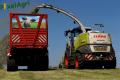Ensilage d'herbe (Ruwet)