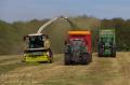 Ensilage d'herbe (Stassart)