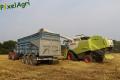 Moisson 2013 (Ruwet)