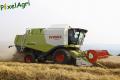 Moisson 2013 (Ruwet)