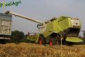 Moisson 2013 (Ruwet)