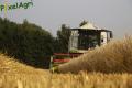 Moisson 2013 (Ruwet)