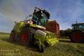 Ensilage d'herbe (Stassart)
