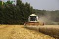 Moisson 2013 (Ruwet)