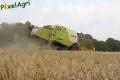 Moisson 2013 (Ruwet)