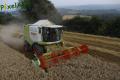 Moisson 2013 (Ruwet)