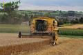 moisson-2012-herens-1.jpg