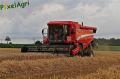 moisson-2012-herens-10.jpg