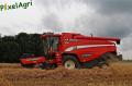 moisson-2012-herens-11.jpg