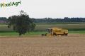moisson-2012-herens-12.jpg