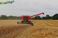 moisson-2012-herens-13.jpg