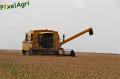 moisson-2012-herens-3.jpg