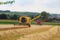 moisson-2012-herens-4.jpg
