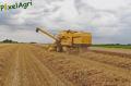 moisson-2012-herens-6.jpg
