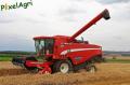 moisson-2012-herens-8.jpg