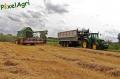 moisson-2012-houtten-058-horzcopy.jpg
