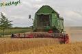 moisson-2012-houtten-075-horzcopy.jpg