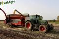 moisson-mais-grain-2012-london-12.jpg
