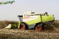moisson-mais-grain-2012-london-8.jpg