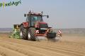 Plantation de PDT 2013 (Casterman)