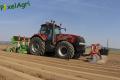 Plantation de PDT 2013 (Casterman)