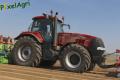 Plantation de PDT 2013 (Casterman)