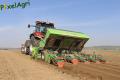 Plantation de PDT 2013 (Casterman)