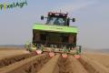 Plantation de PDT 2013 (Casterman)
