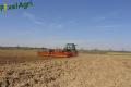 Plantation de PDT 2013 (Casterman)