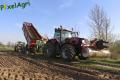 Plantation de PDT 2013 (Casterman)