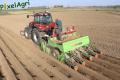 Plantation de PDT 2013 (Casterman)