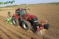 Plantation de PDT 2013 (Casterman)