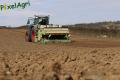 Plantation de PDT 2013 (Herens)