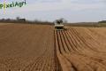 Plantation de PDT 2013 (Herens)