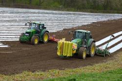 preparation-sol-et-semis-de-mais-sous-bache-deblon-evrard-065-vert.jpg